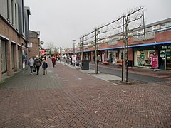  Where  find  a escort in Berkel en Rodenrijs (NL)